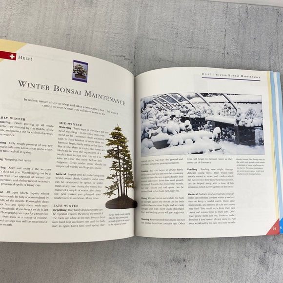 Grow Your Own Bonsai How To Book Step by Step Instructions and Projects - Picture 7 of 9